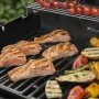 Weber Spirit E-435 #5